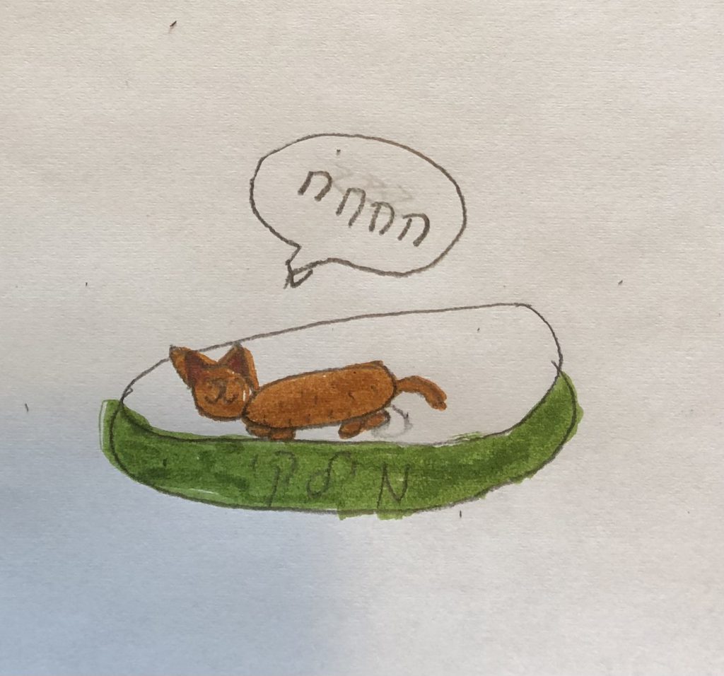 אליעזר והגזר by Orit Shakarghi - Illustrated by עטל  - Ourboox.com