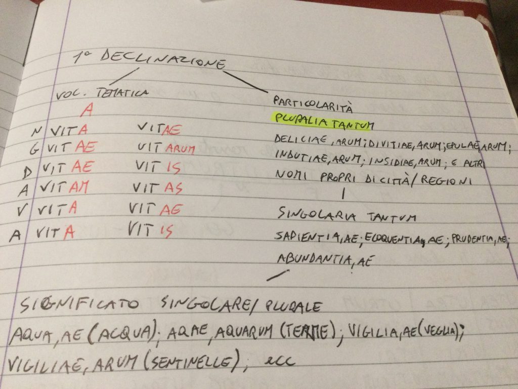 Ebook Latino by Federico - Ourboox.com