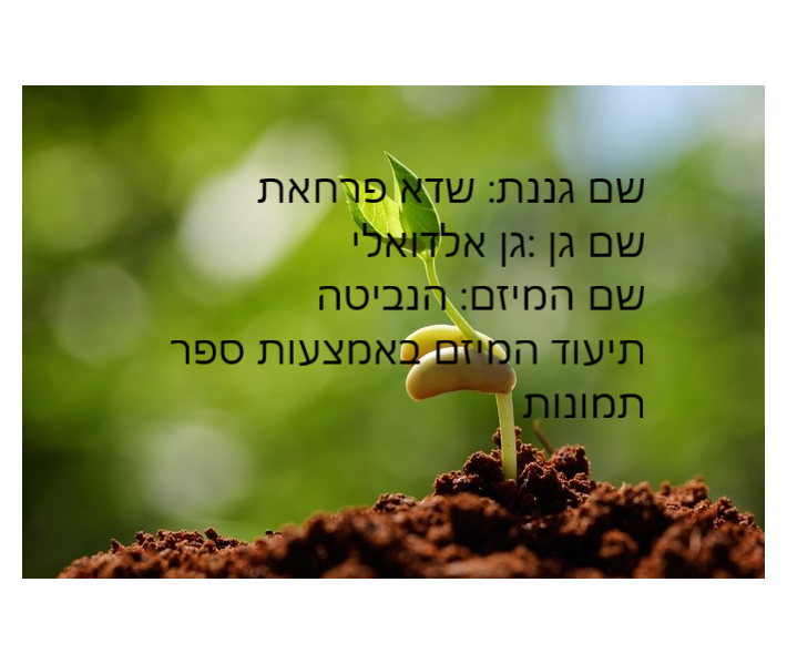 סיכום פרויקט הנבטה -תיעוד באמצעות ספר תמונות- מאת הגננת שדא פרחאת by shada - Ourboox.com