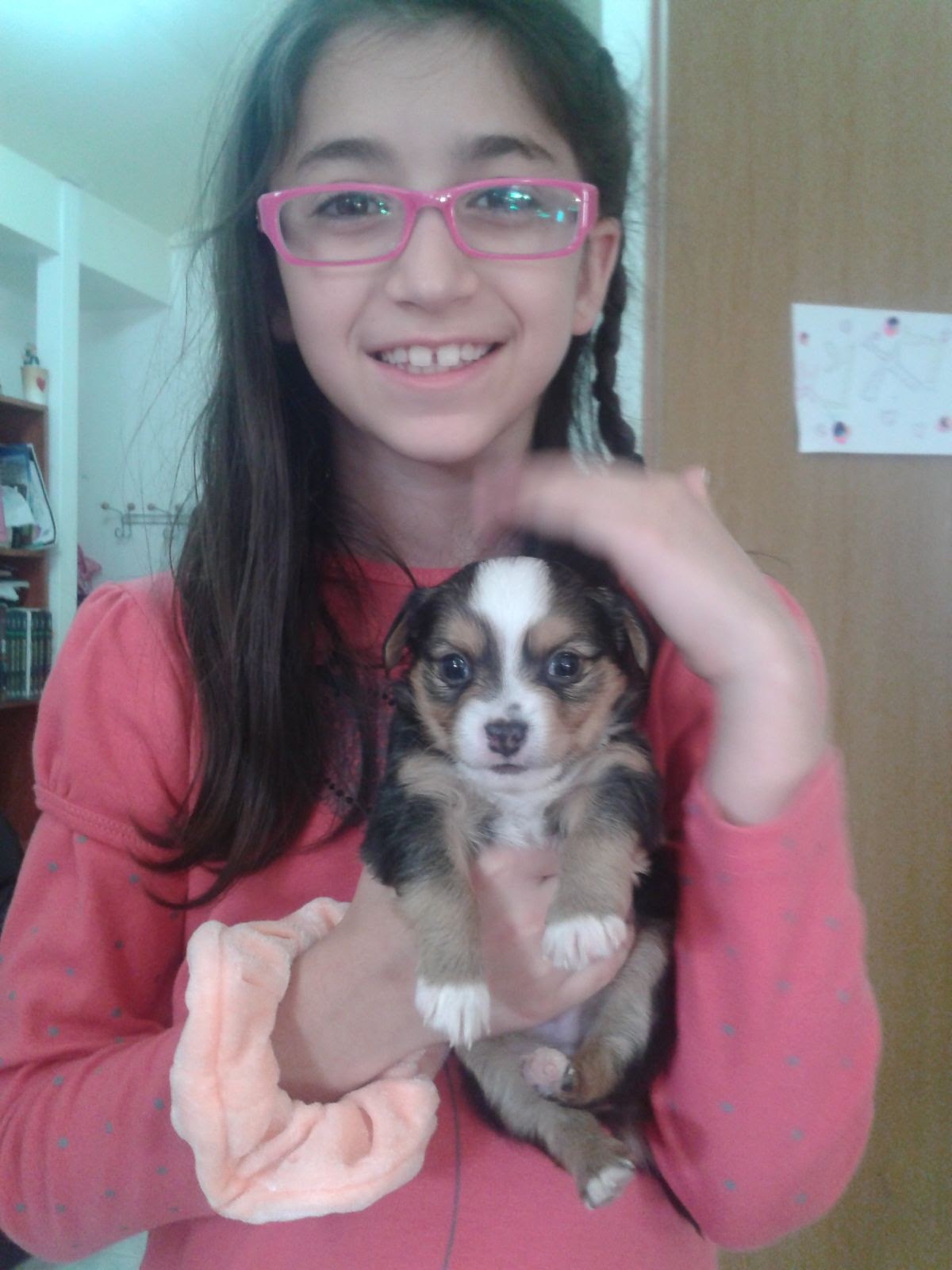 MY DOG (I KNOW THE TITLE ISN’T REALLY CREATIVE BUT THIS IS ABOUT MY DOG) by Sheindi - Ourboox.com