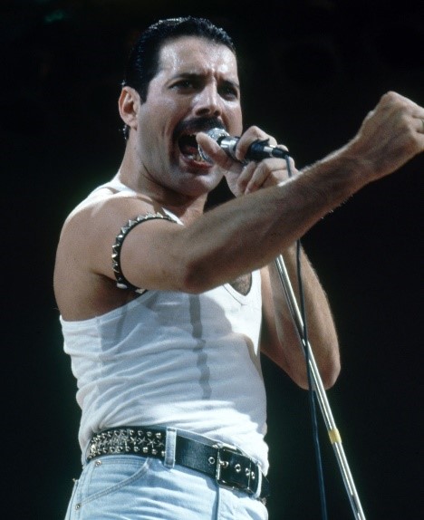 English Project – FREDDIE MERCURY by Rotem Migdal - Ourboox.com
