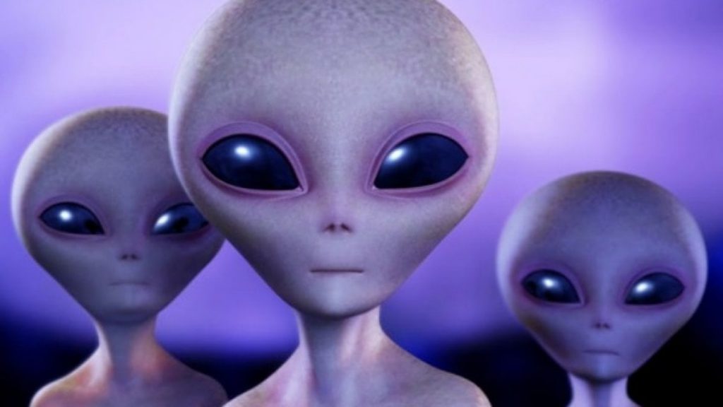 ODISSEA SULLA TERRA 2020 by Alyssa Fortezza - Ourboox.com