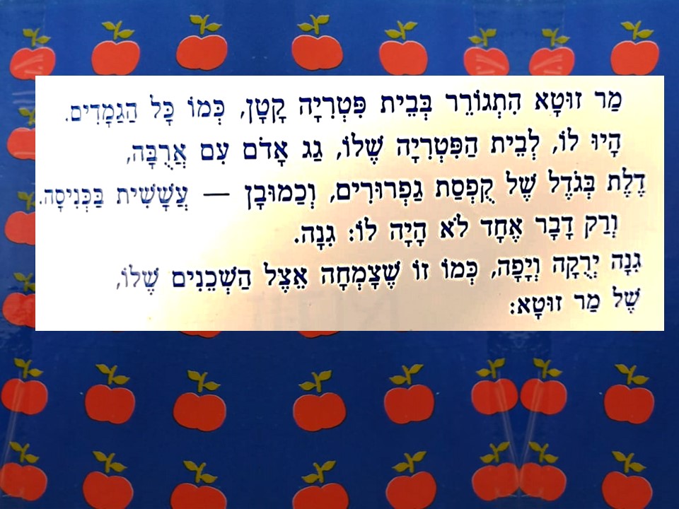 מר זוטא ועץ התפוחים by Limor Frieder - Ourboox.com