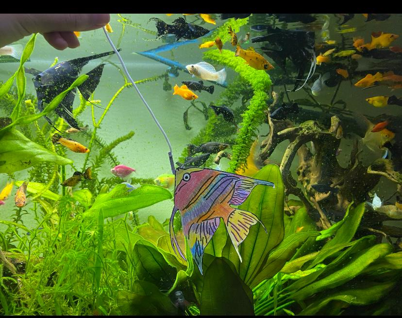 העבודות שלי במחצית הזאו by Kate Riazntseva - Ourboox.com