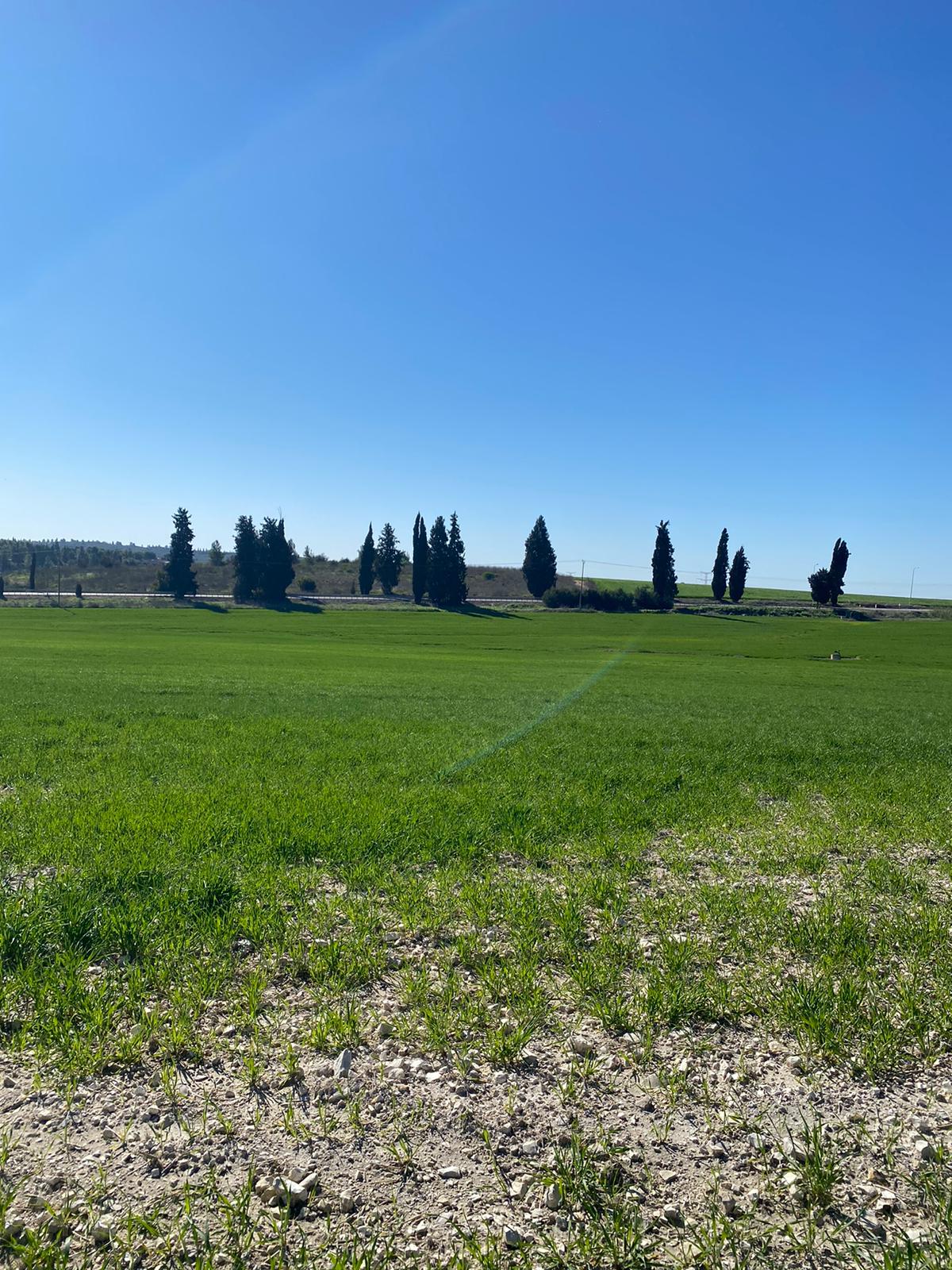 טיולים משפחתיים בתקופת הקורונה