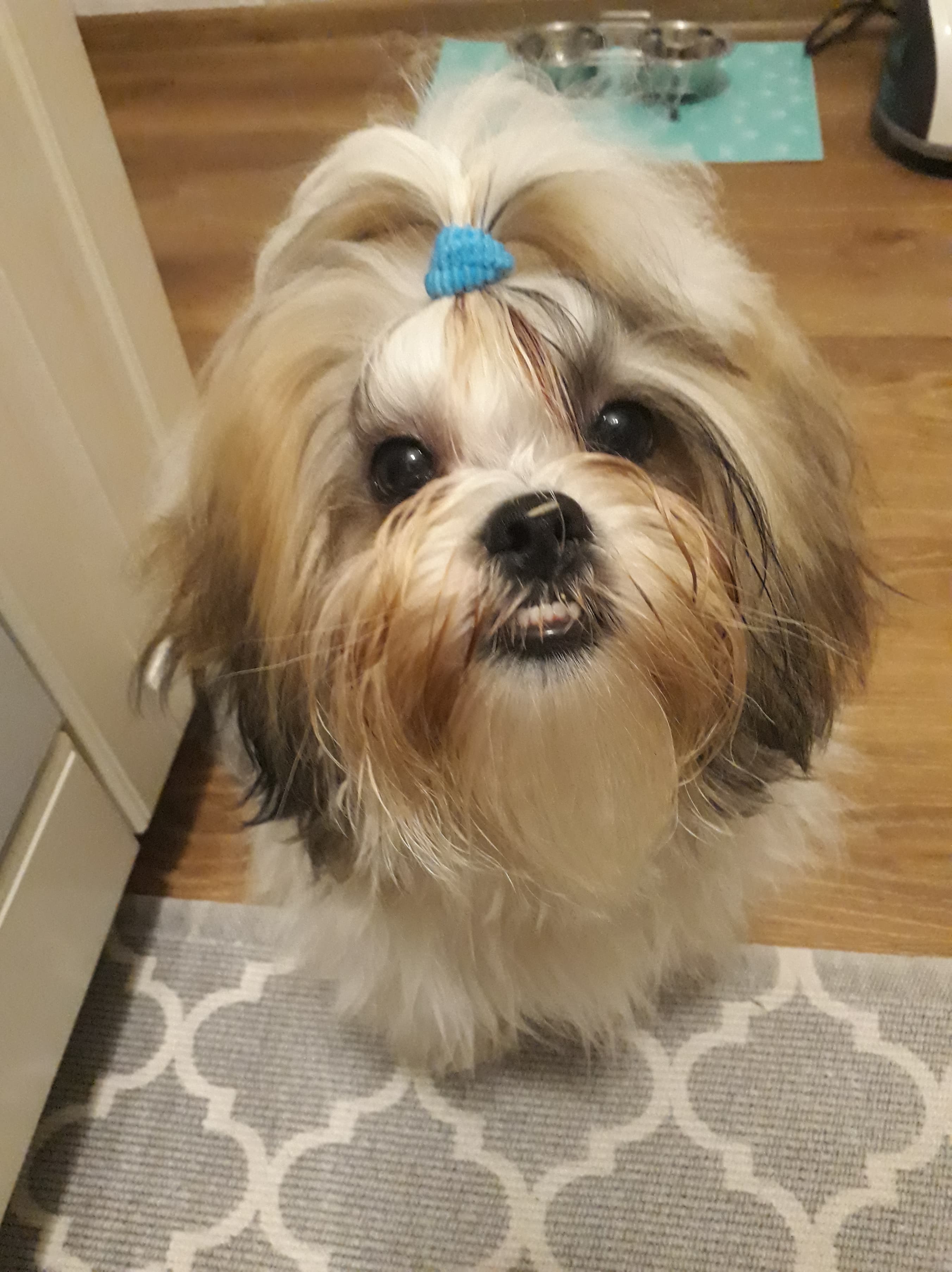 kk by Rena - Ourboox.com