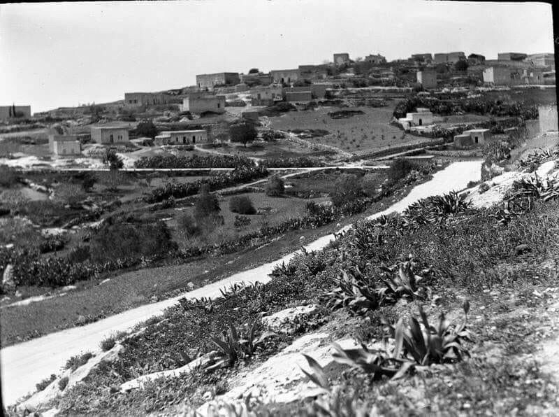 يافه الناصره by bshara jamamah - Ourboox.com