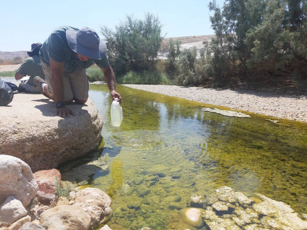 נחל צין בנגב