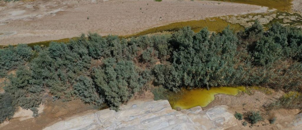 גיאוגרפיה by gada - Ourboox.com