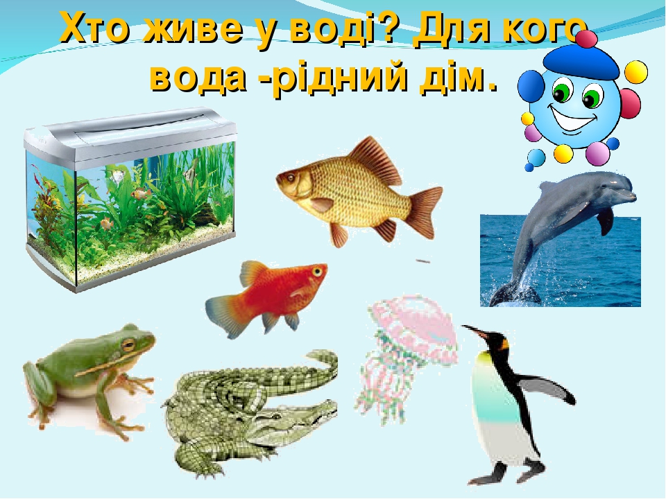 Книга з методичним матеріалом до проєкут “Вода -водиця” by Katerina Kostyuk - Ourboox.com