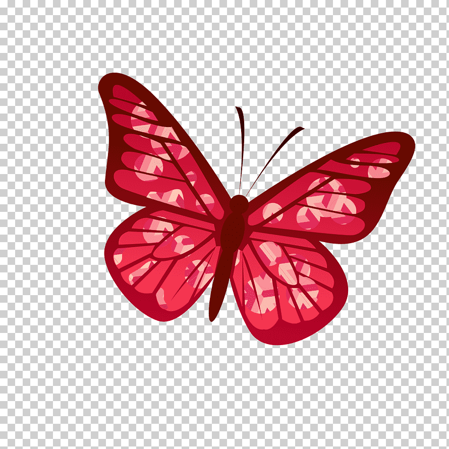 قصة الفراشة وقوس قزح by rajaa - Ourboox.com