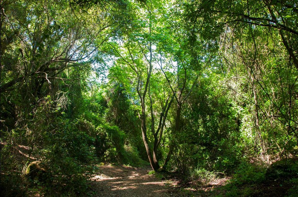 התנסות ראשונה by ronit dror - Illustrated by רונית - Ourboox.com