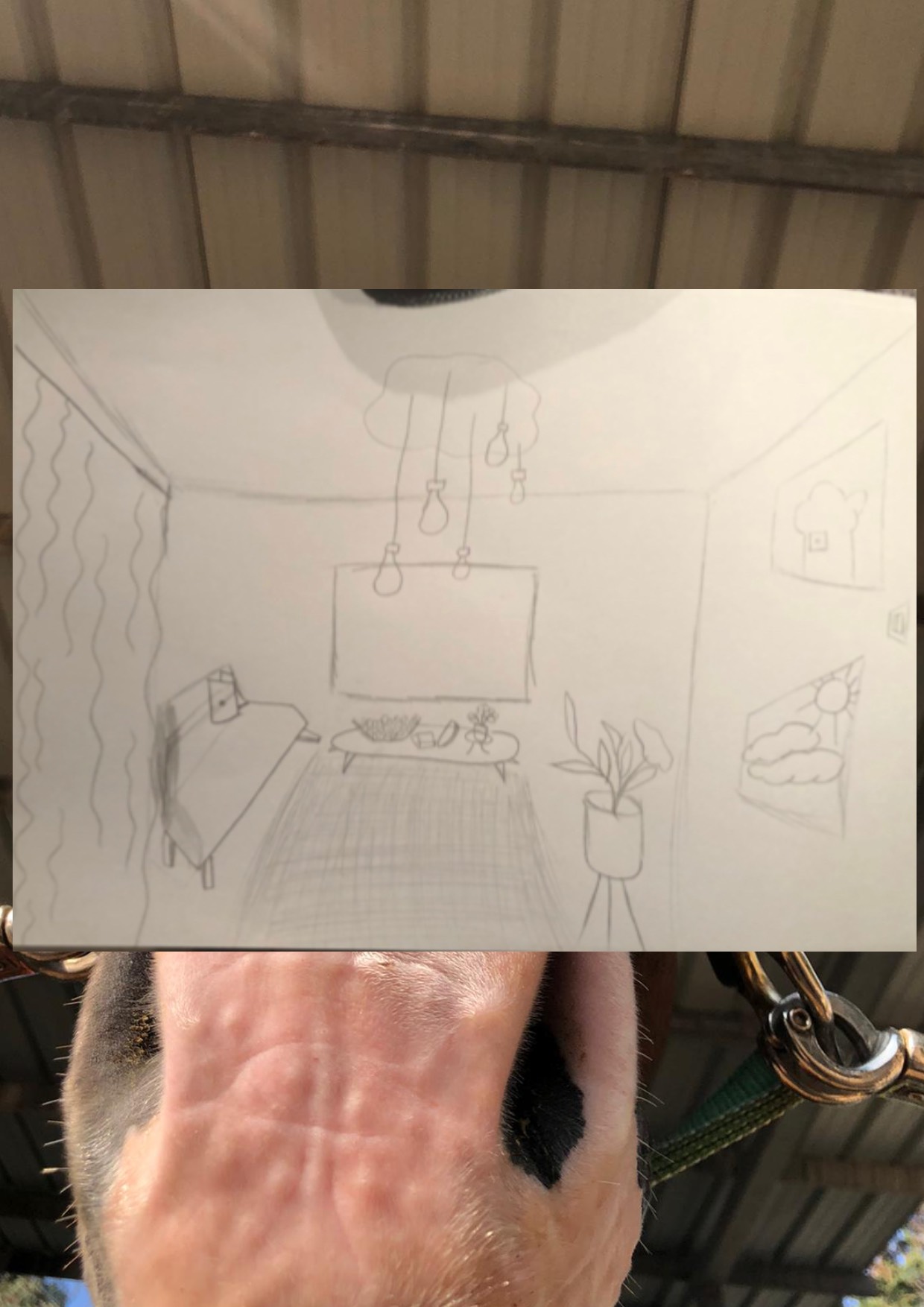 תיק העבודות של יובל by Yuval Kerminan - Illustrated by יובל - Ourboox.com