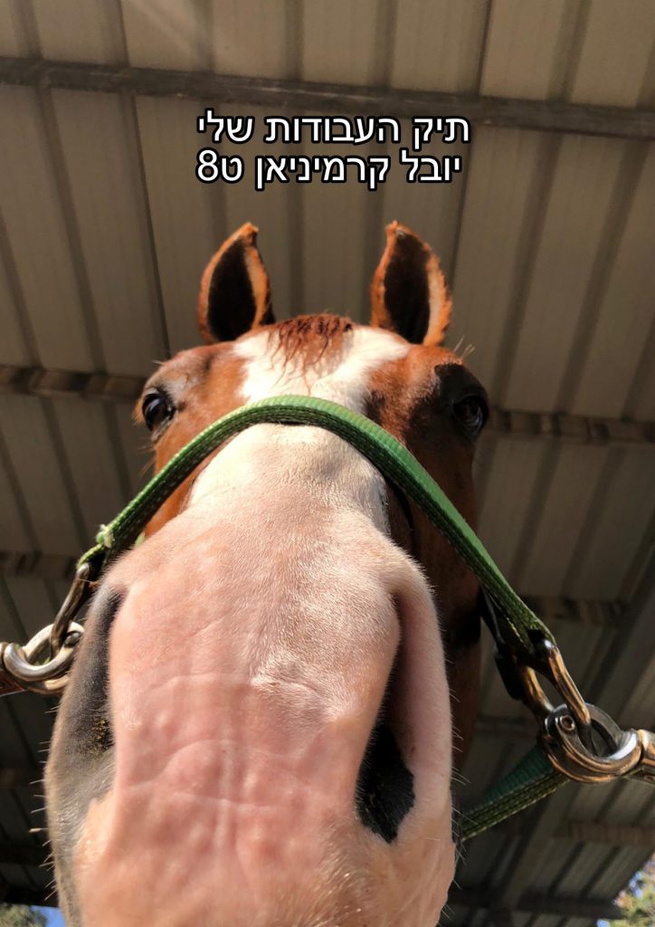 תיק העבודות של יובל by Yuval Kerminan - Illustrated by יובל - Ourboox.com