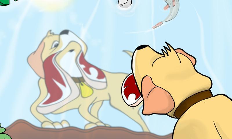 a dog when he looked at the pool