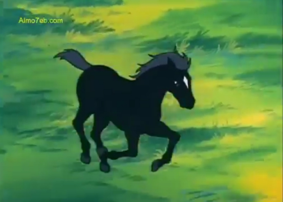 Black Beauty by basil - Illustrated by Basil and Mohammed - Ourboox.com