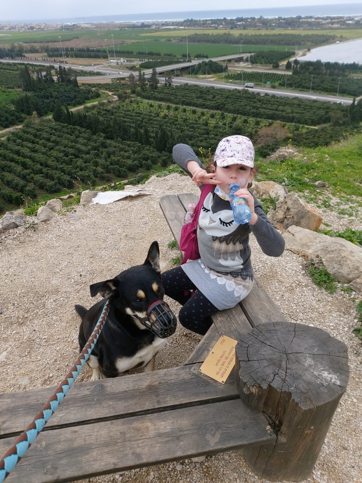 עבודת שורשים עידן שפיצר by Idan spitzer - Ourboox.com