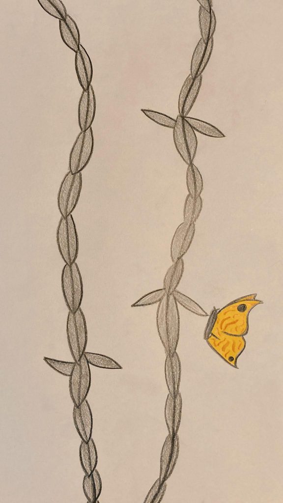 LA MEMORIA RENDE LIBERI by classe 1^ A - Illustrated by LETTERE PER RICORDARE  - Ourboox.com