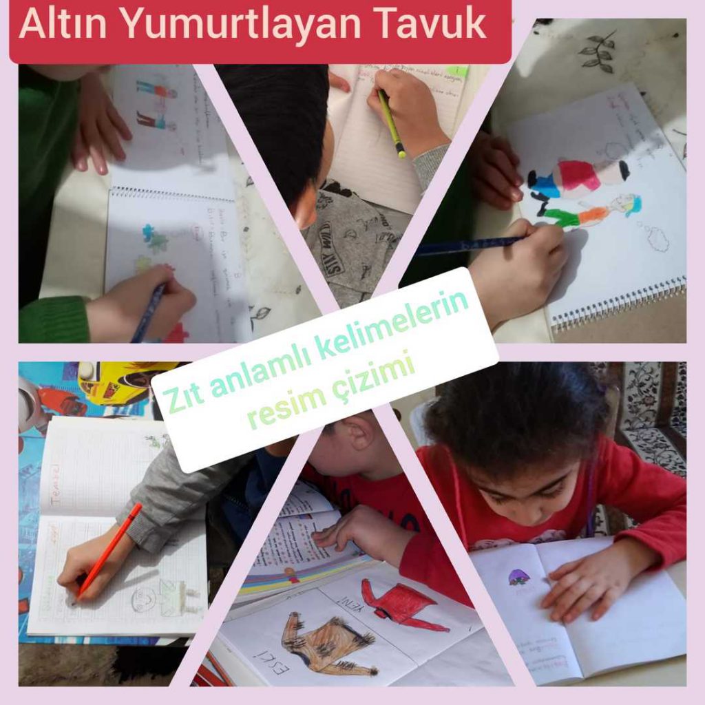 ALTIN YUMURTLAYAN TAVUK by Serdal - Illustrated by Altın Yumurtlayan Tavuk  - Ourboox.com