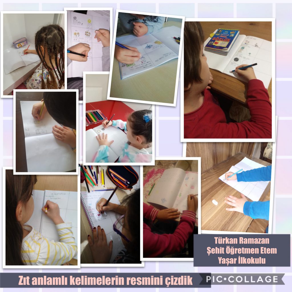 ALTIN YUMURTLAYAN TAVUK by Serdal - Illustrated by Altın Yumurtlayan Tavuk  - Ourboox.com