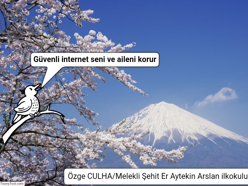DİSİPLİNLER ARASI KODLAMA PROJESİ GÜVENLİ İNTERNET KİTABI by Zeliha GÖLBAŞI - Ourboox.com