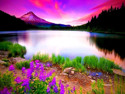 Lektion 8. Die Natur und das Wetter (Wörter und Wendungen) by Oksana - Ourboox.com