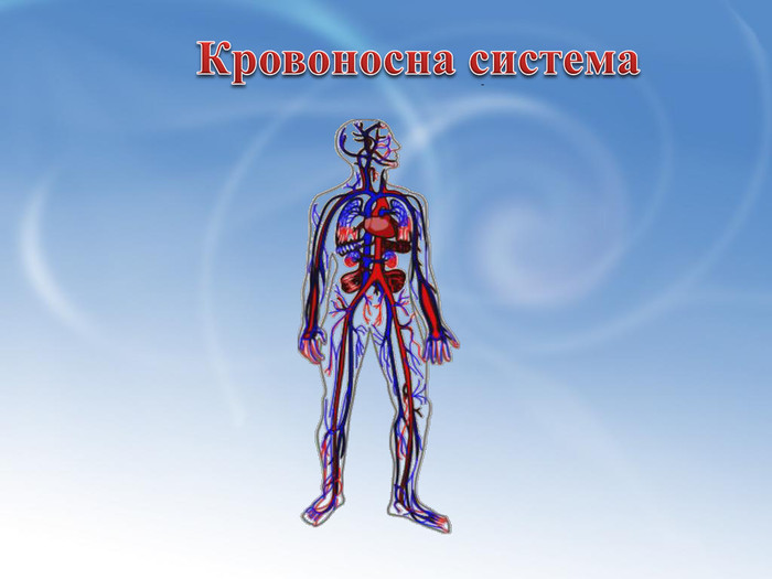 Кровоносна система людини by OlenaKosinska - Ourboox.com