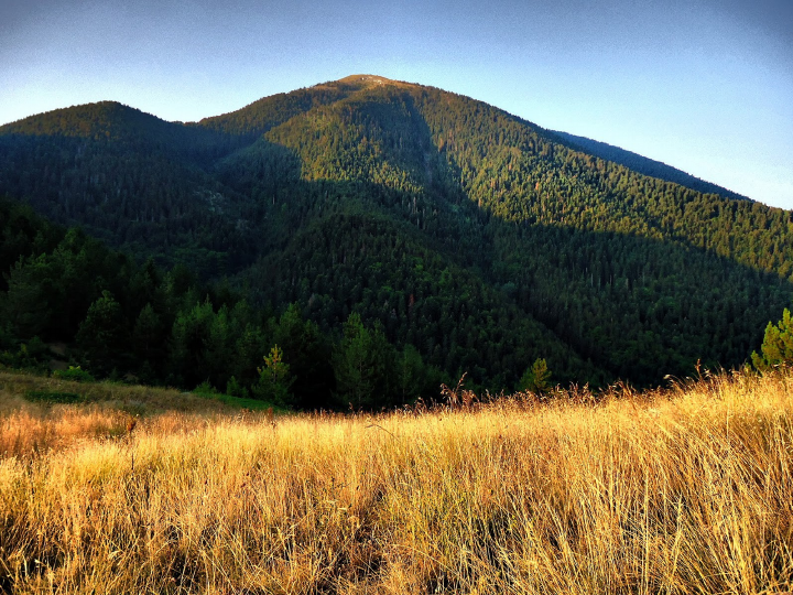 Али ботуш by Teodora - Illustrated by Теодора Босева и Теодора Попова - Ourboox.com