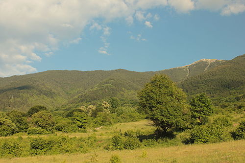 Али ботуш by Teodora - Illustrated by Теодора Босева и Теодора Попова - Ourboox.com