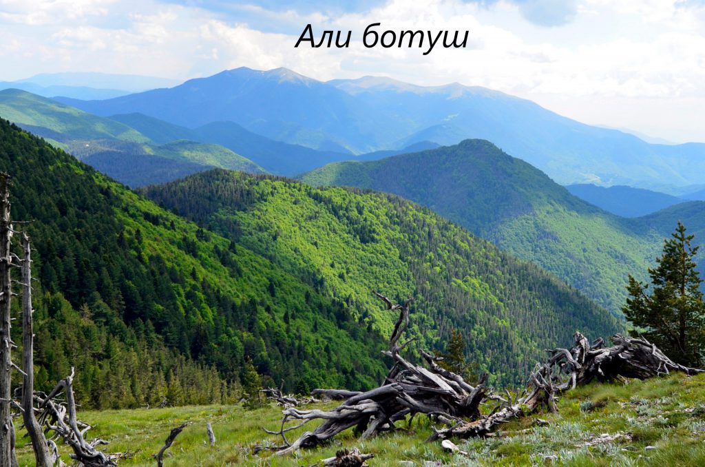 Али ботуш by Teodora - Illustrated by Теодора Босева и Теодора Попова - Ourboox.com