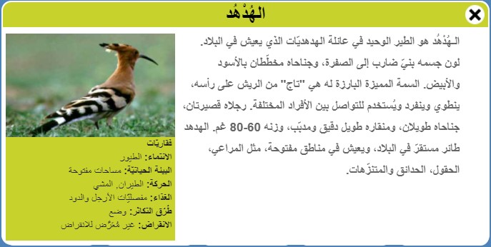 طيور by Faisl el Malahi - Ourboox.com