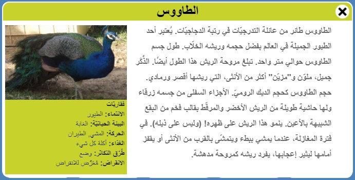 طيور by Faisl el Malahi - Ourboox.com