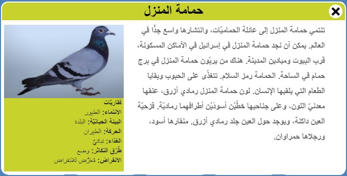 طيور by Faisl el Malahi - Ourboox.com