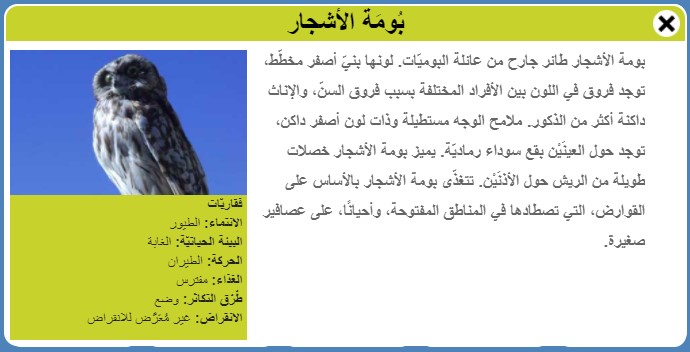 طيور by Faisl el Malahi - Ourboox.com