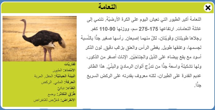 طيور by Faisl el Malahi - Ourboox.com