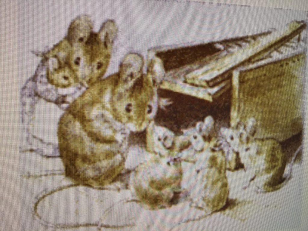 مهمة عبراني by Ragad shahwan - Ourboox.com