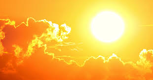 Is It Alive! (SKL1.a, b) by Jessica - Ourboox.com