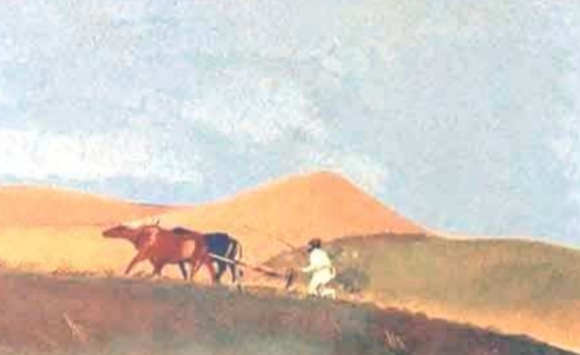 כד הזהב by rehab - Ourboox.com