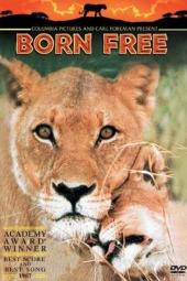 Born Free by Roaa Zoabi - Illustrated by Roaa Zoabi - Ourboox.com