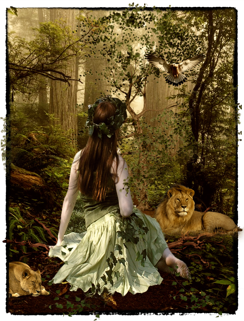 Born Free by Roaa Zoabi - Illustrated by Roaa Zoabi - Ourboox.com