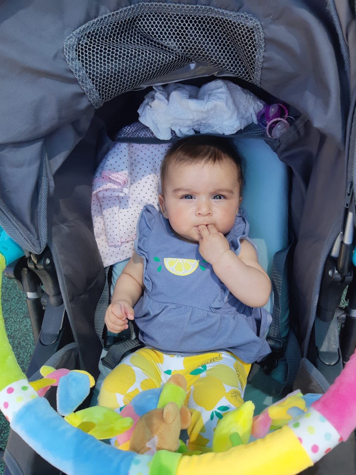 אלבום התמונות של שיר by sharon - Ourboox.com