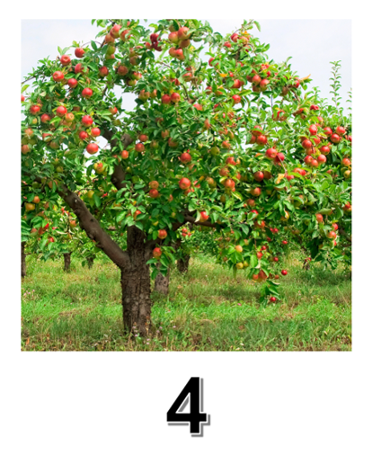 ערלה by chaya - Ourboox.com