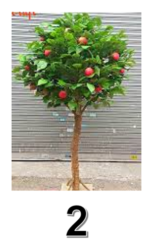 ערלה by chaya - Ourboox.com