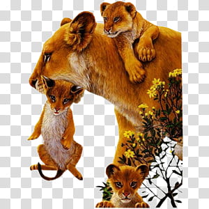 Born Free by Roaa Zoabi - Illustrated by Roaa Zoabi - Ourboox.com