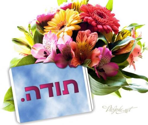אלבום פרדה בת שבע – גרסה 2 by Chaya Tova - Illustrated by היחידה לתוכניות משלימות למידה  - Ourboox.com