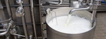 IL LATTE E LA SUO PROCESSO by marianna Di Stasio - Ourboox.com