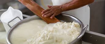 IL LATTE E LA SUO PROCESSO by marianna Di Stasio - Ourboox.com