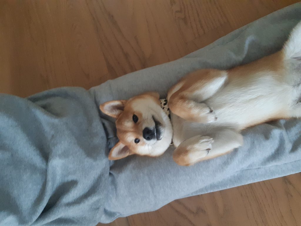 Minu ja minu pere lood by raimond vuks - Ourboox.com