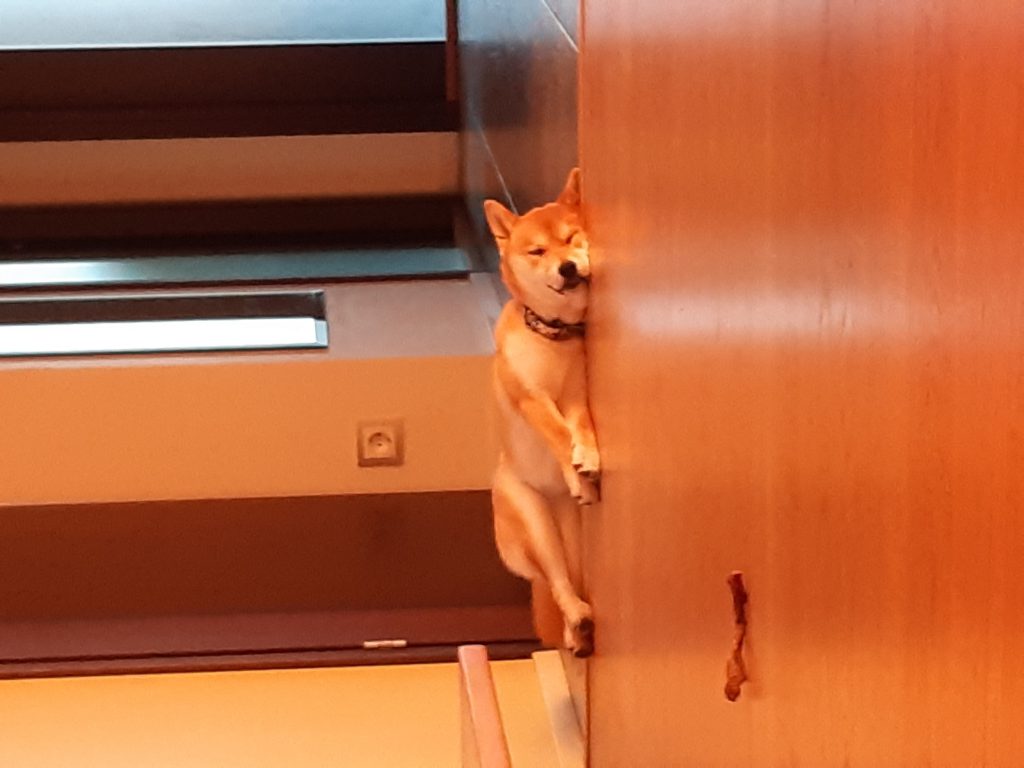 Minu ja minu pere lood by raimond vuks - Ourboox.com