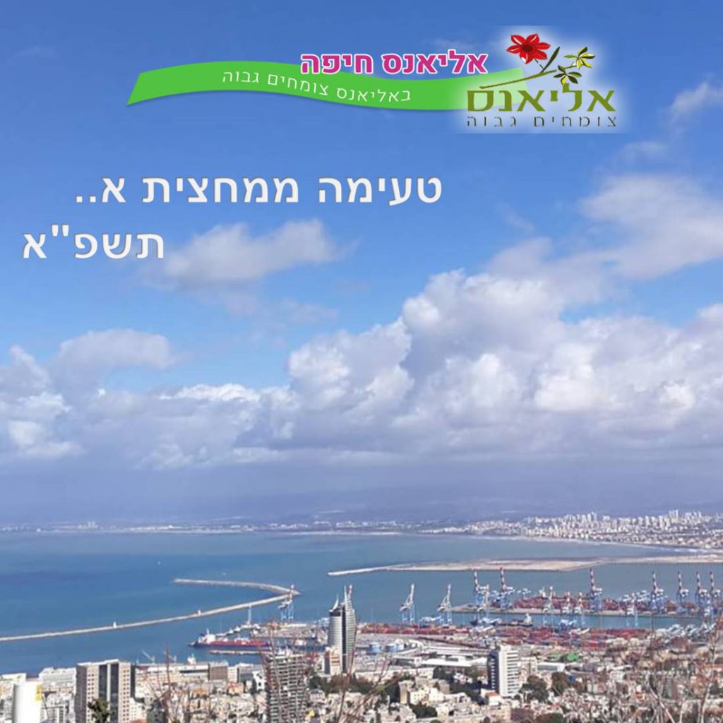 טעימה ממחצית א – אליאנס חיפה by hai.alliance - Illustrated by סיירת מיתוג אליאנס - Ourboox.com